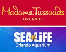 Madame Tussaud’s and SEA LIFE Aquarium Ticket